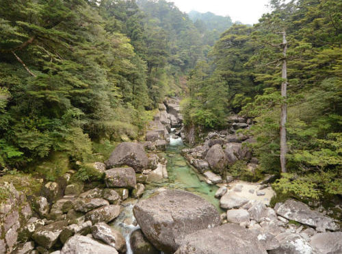 ヤクスギランド