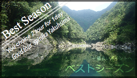 ベストシーズン