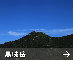 シュノーケリング