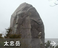 シュノーケリング