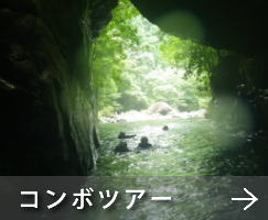 シュノーケリング