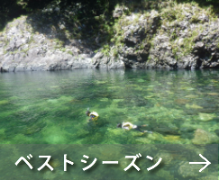 シュノーケリング