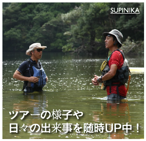 スタッフブログ