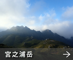 シュノーケリング