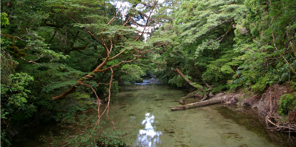 料金・お申し込み