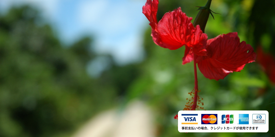 料金・お申し込み