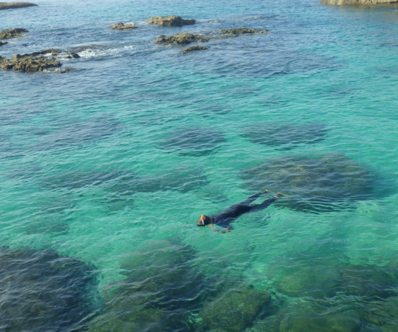 海、川、水辺遊びから、登山トレッキング