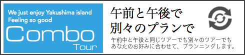 スピニカ オリジナル コンボツアー