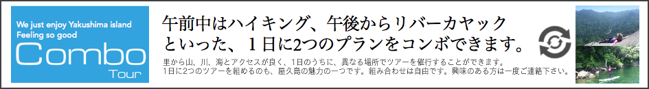 スピニカ オリジナル コンボツアー